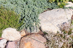 Killikus&reg; Fotographie